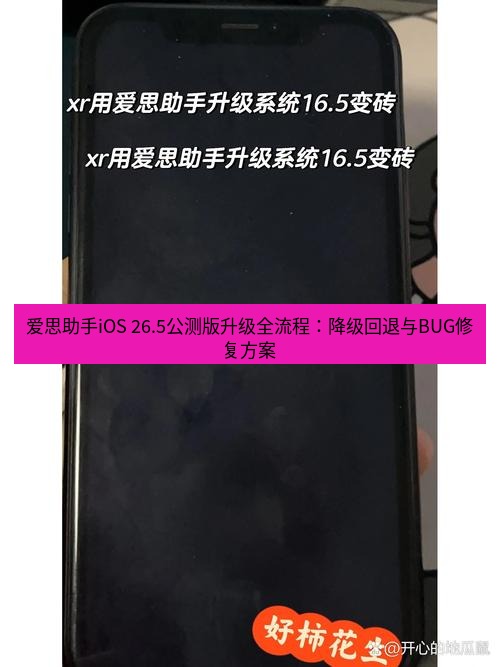 爱思助手官网 爱思助手iOS 26.5公测版升级全流程：降级回退与BUG修复方案