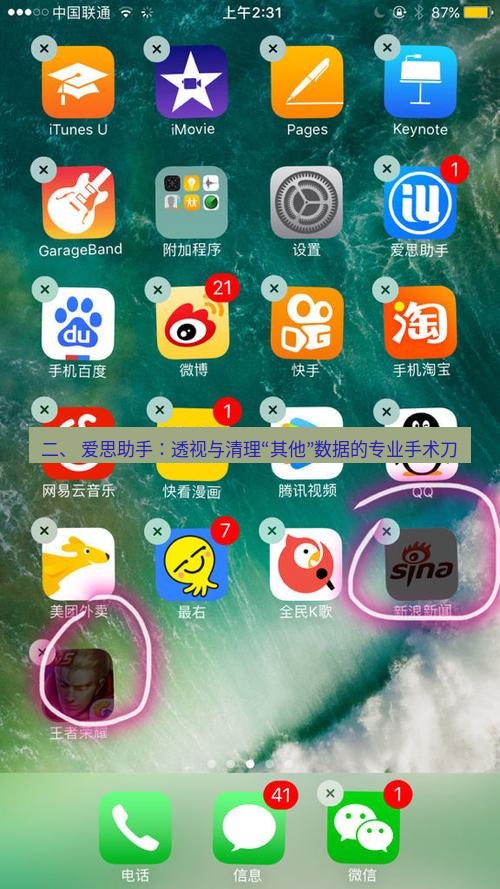 爱思助手官网 二、 爱思助手：透视与清理“其他”数据的专业手术刀