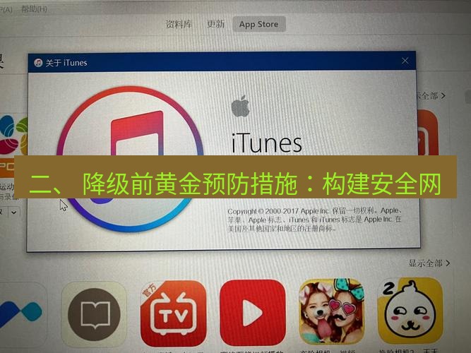 爱思助手下载 二、 降级前黄金预防措施：构建安全网