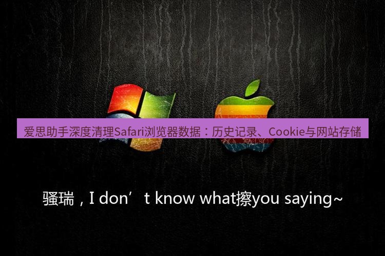 爱思助手官网 爱思助手深度清理Safari浏览器数据：历史记录、Cookie与网站存储