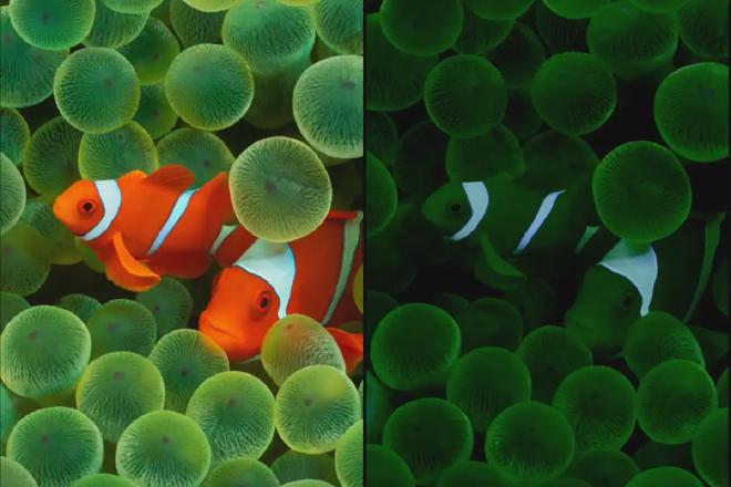 苹果史上最大规模界面改版：玻璃质感界面为重头戏