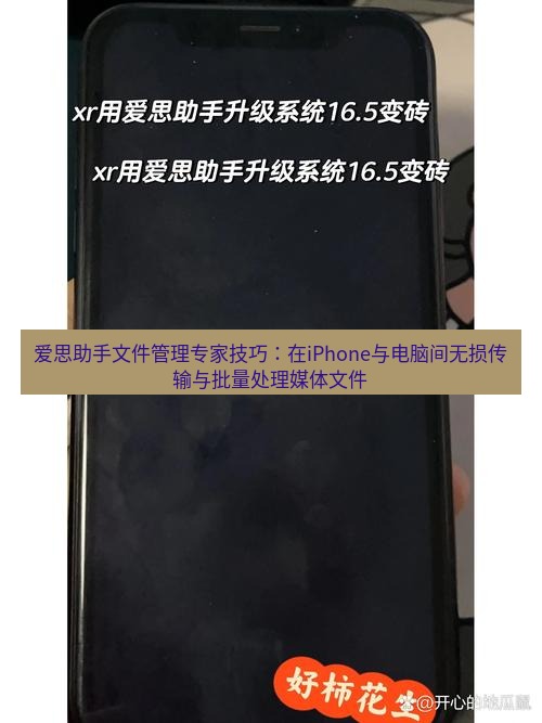 爱思助手官网 爱思助手文件管理专家技巧：在iPhone与电脑间无损传输与批量处理媒体文件