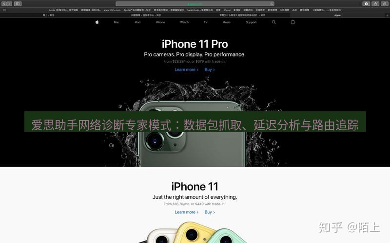 爱思助手官网 爱思助手网络诊断专家模式：数据包抓取、延迟分析与路由追踪